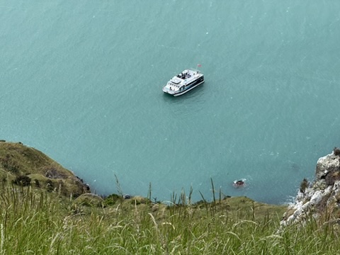 From the Cliffs