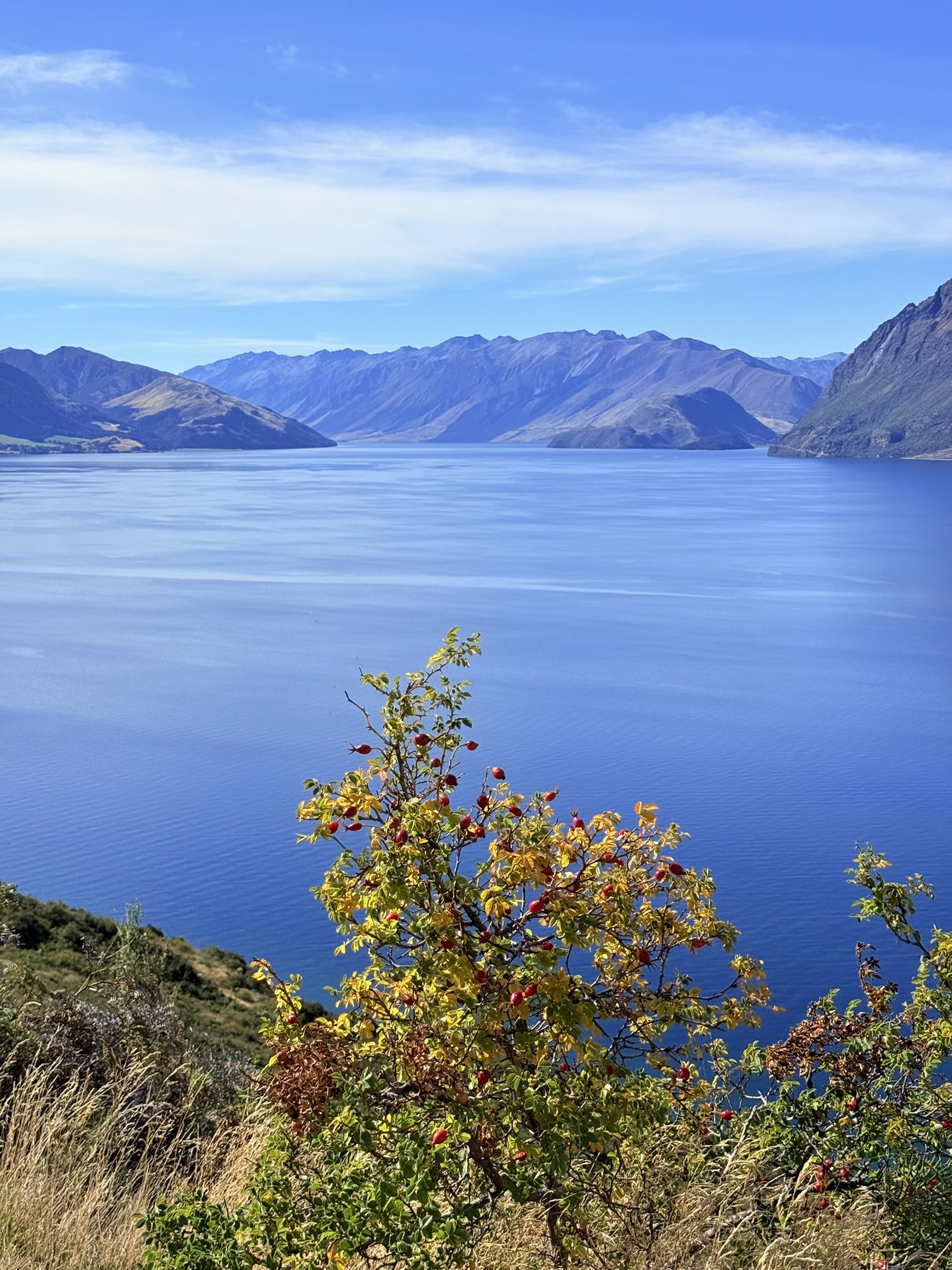 Lake Hawea in Autumn