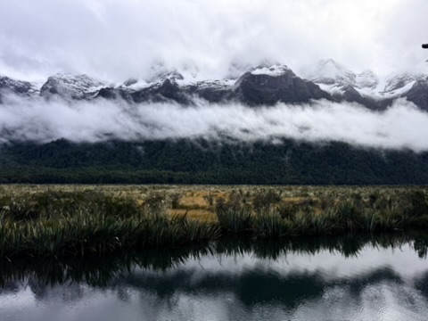 Mirror Waters