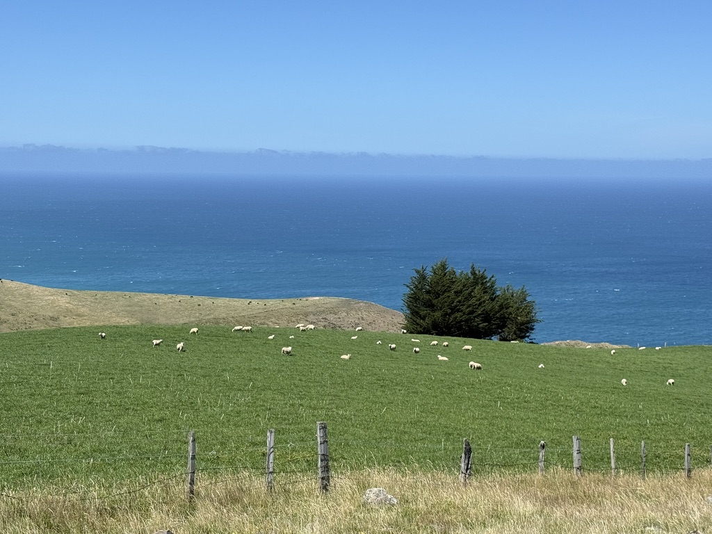 Akaroa Pastoral